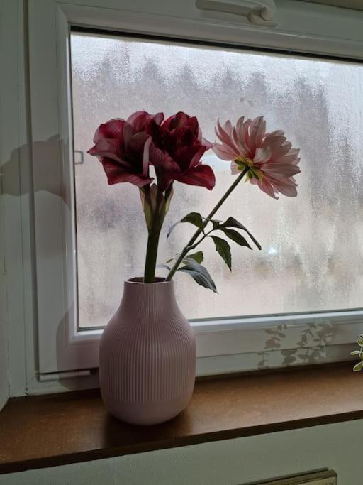 Grosszuegige Ferienwohnung 4+1 P. Büttelborn 외부 사진